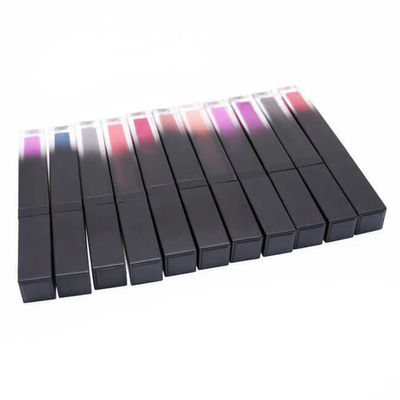 No Logo Tube Long Lasting 40 Colors Matte Lipstick Gloss