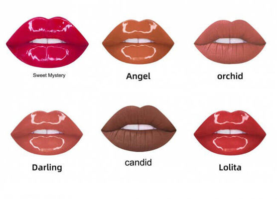 60 Colors Pink Matte Lip Gloss , OEM Private Label Organic Lip Gloss