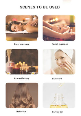 Gift Bottle Aromatherapy Essential Oils Set , Pure Body Naturals Essential Oils